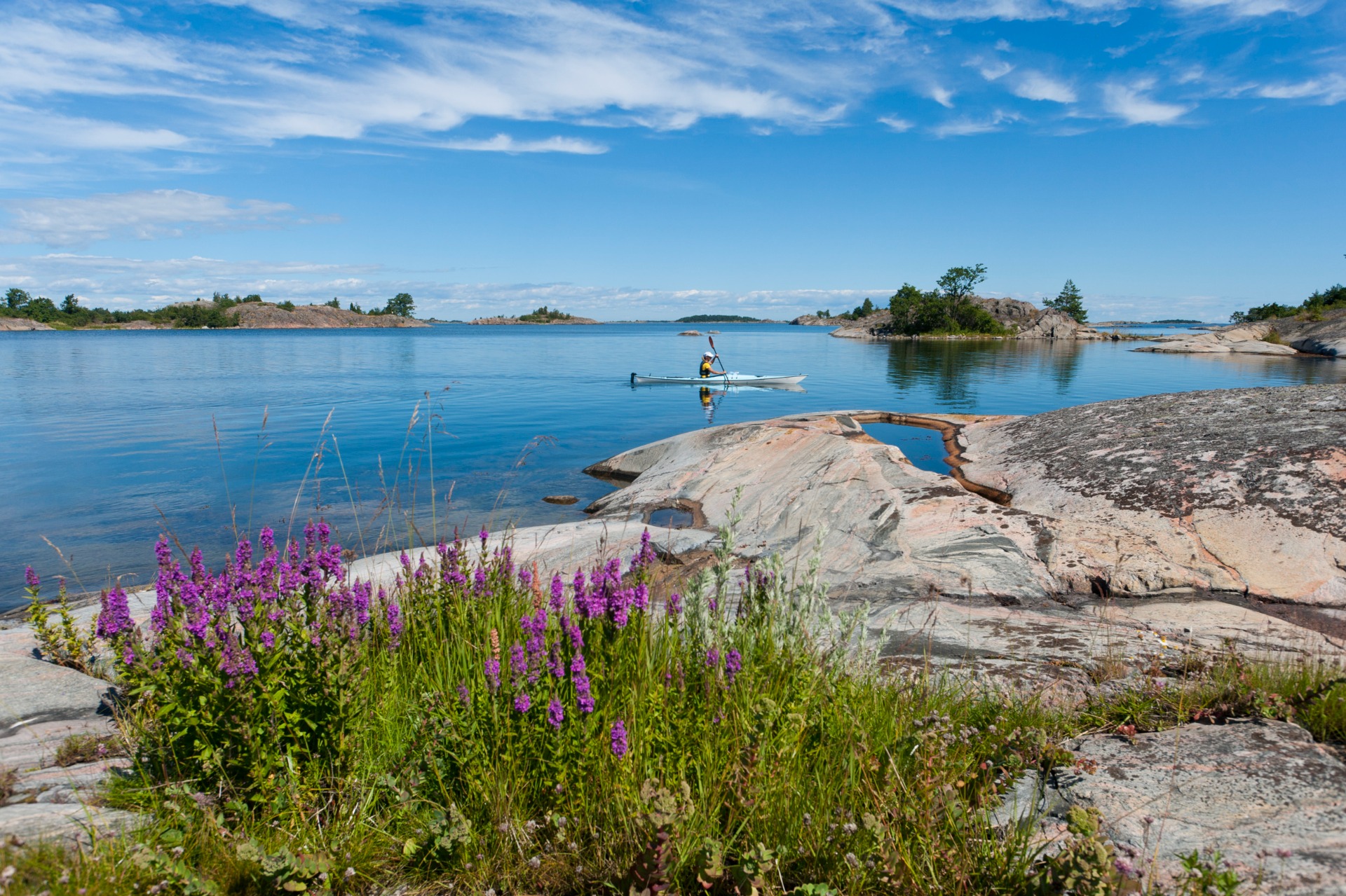 Foto: Gustav Dalesjö / mediabank.Uppsala.com